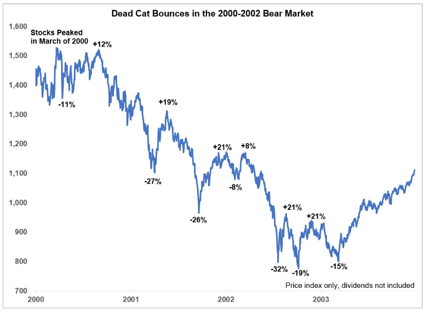 The Dead Cat&nbsp;Bounce